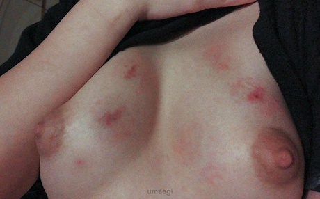 muieru 高品質スター 写真