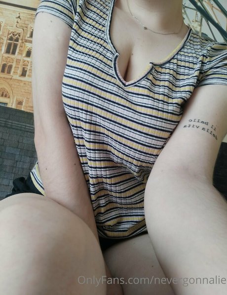 nevergonnalie HDモデル ギャラリー