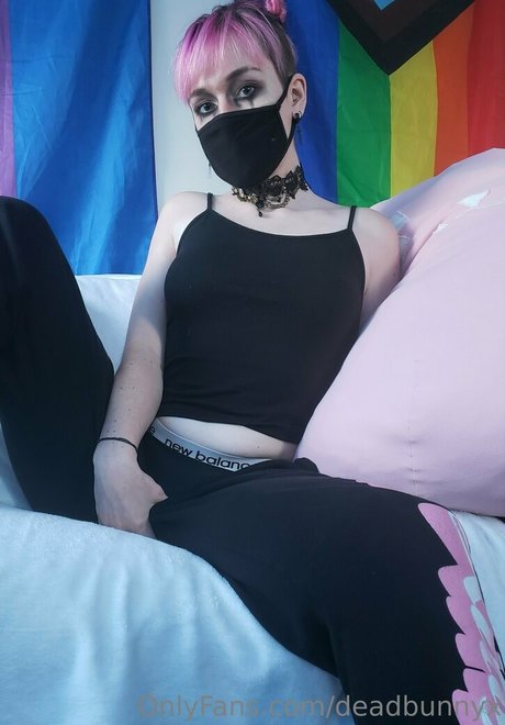 deadbunnyx 最高のポルノスター アーカイブ