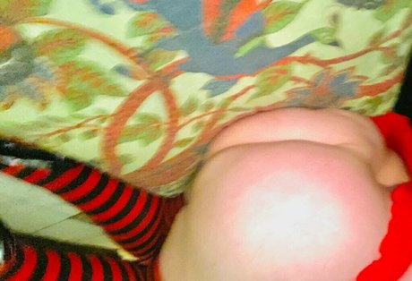 bootyhole king 美しいスター 写真