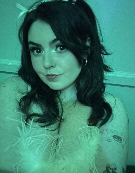 Shannondorf トップスター 写真