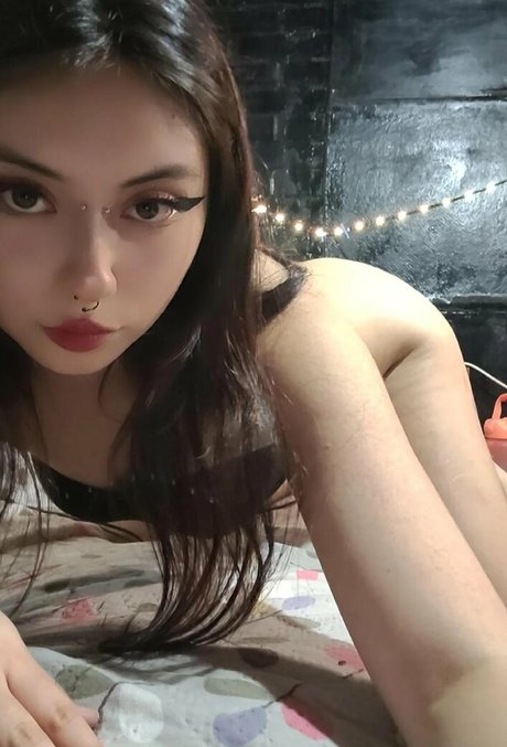 pandaaauu 無料女優 画像