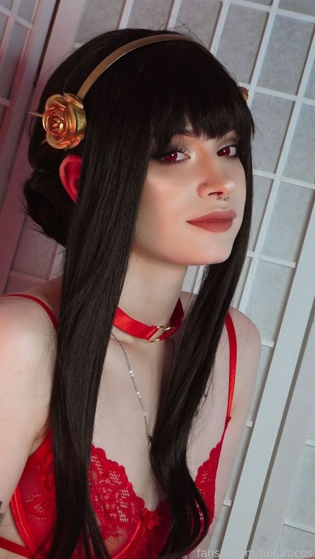 Fukuro トップスター 写真