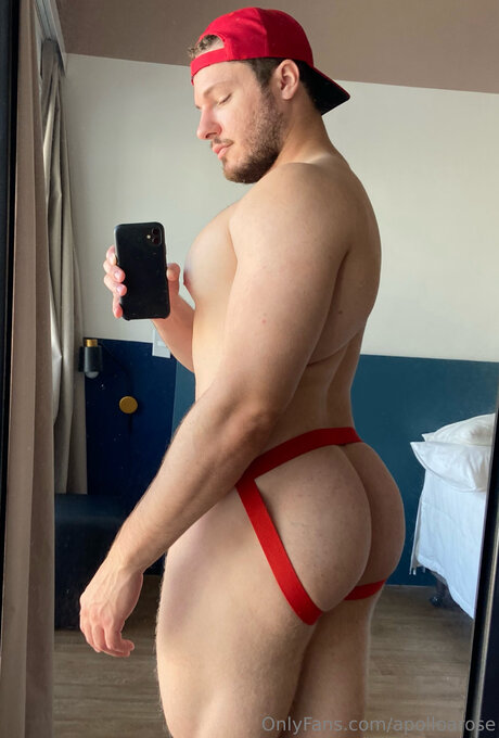 Apolloarose セックスモデル 画像