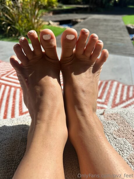 Pvz Feet ポルノスター HD 写真