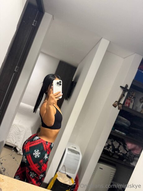 Miniskye 素敵なスター 写真