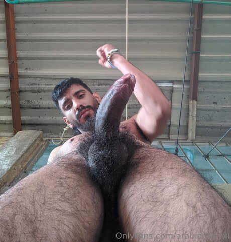 Arabianboyxl スター ヌード 画像