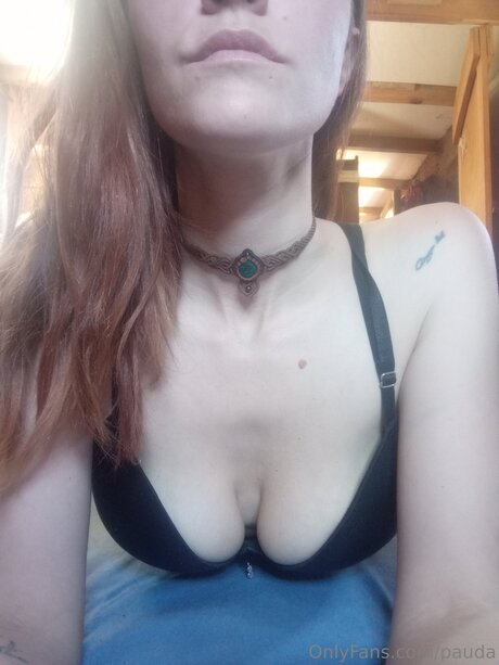 Pauda 無料スター 写真