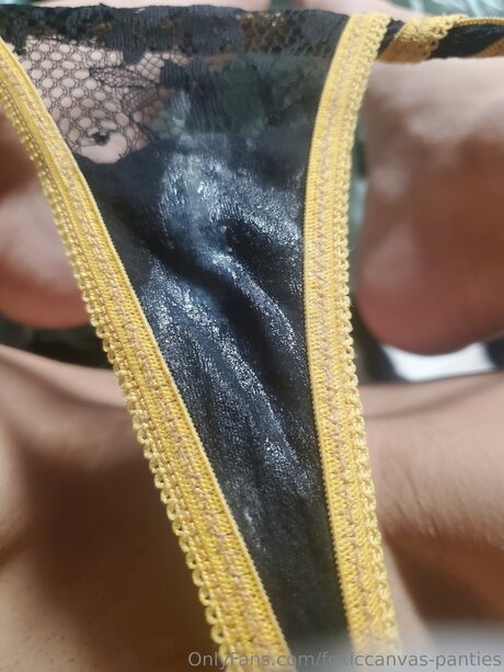 Foxiccanvas Pantyland スターセックス 画像