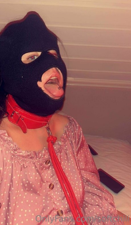 softchili 独占スター 写真