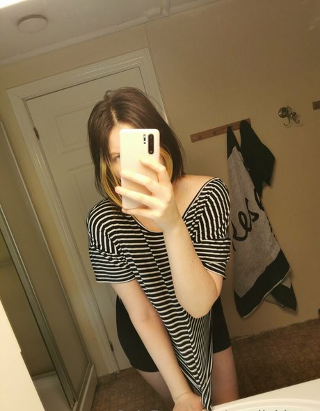 nordickitten 最高のスター 写真