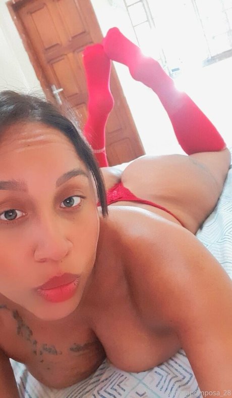 negrapomposa 28 美しいスター 写真