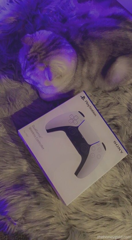 美しい黒檀のオンリーファンズ ポルノ 写真