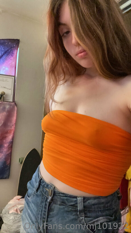 Mj101922 アートスター 写真