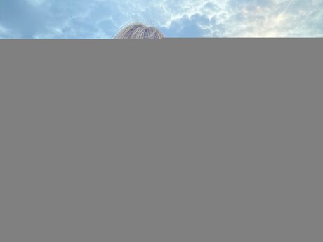 Ashley Milk ポルノスター 独占 写真