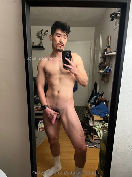 Vibesxxx スター 写真