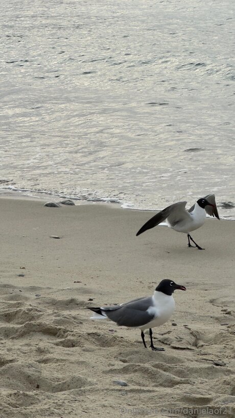 膣オンリーファン 素敵 画像