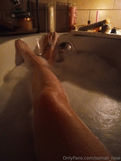 Somali Rose アートスター アーカイブ