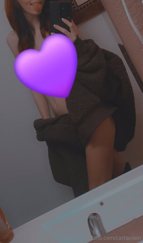 Cartacoon xxxモデル 写真