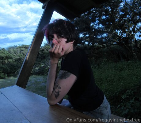 Froggyintheboxfree 限定モデル 写真