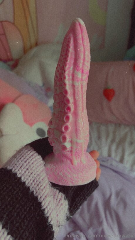 Xxwetpawzzx 限定スター 写真
