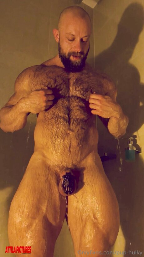 Pup Hulky アダルトモデル 画像