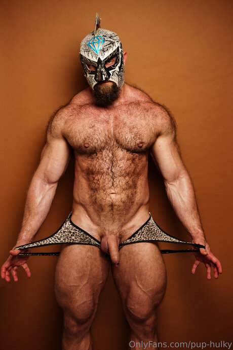 Pup Hulky ポルノスター パーフェクト 写真