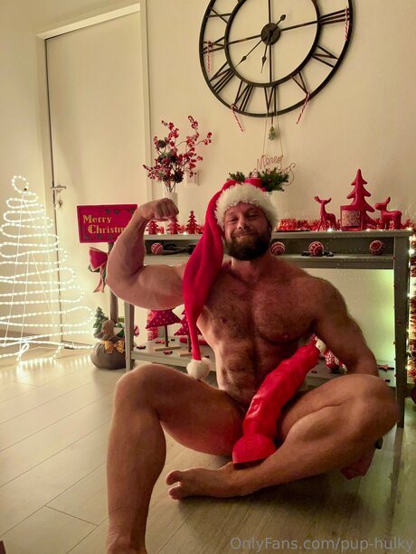 Pup Hulky アートスター ギャラリー