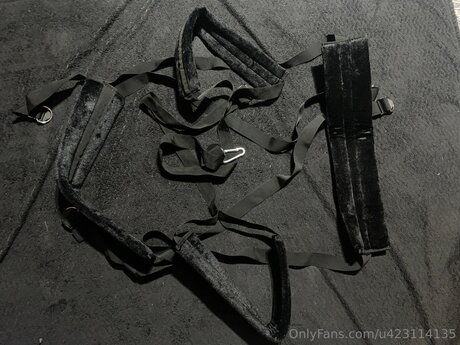 U423114135 profile image