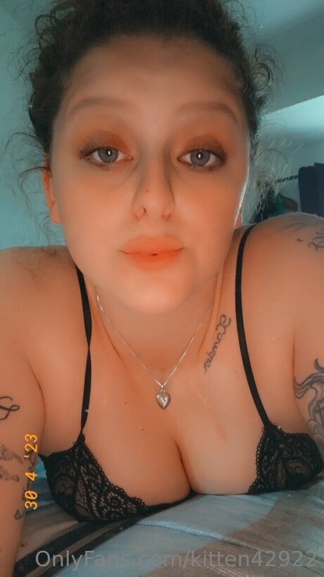 Kitten42922 アートスター 画像