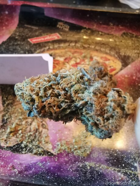 Somestonergirl アートスター 写真