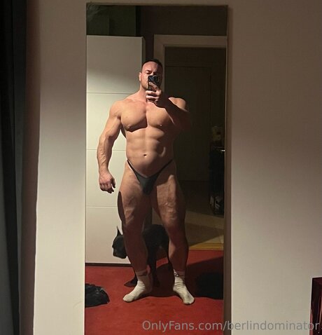 Berlindominator ポルノスター パーフェクト 写真