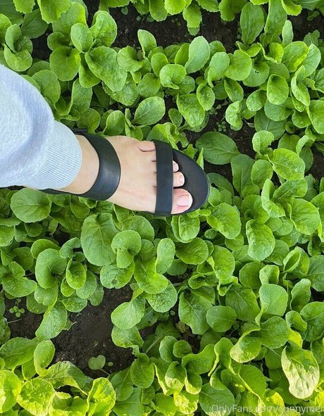 寝取られ妻オンリーファンズ 美しい アーカイブ