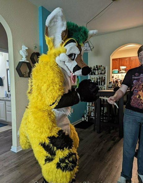 thepineapplefox top profile image