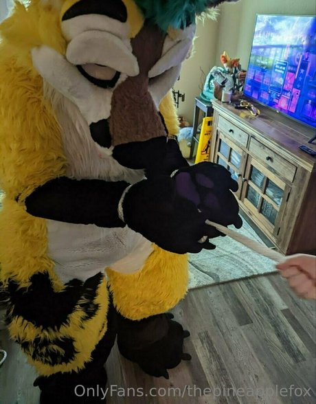 thepineapplefox HDポルノスター 写真