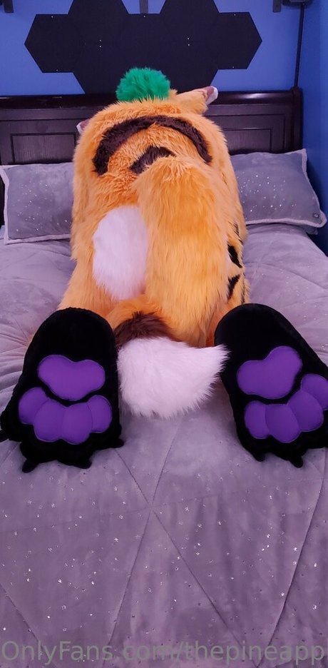 thepineapplefox トップモデル 写真