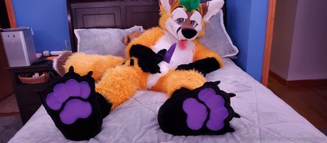 thepineapplefox 美しいポルノスター 写真