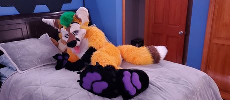 thepineapplefox スター 写真