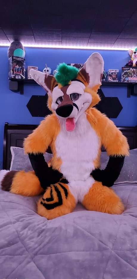 thepineapplefox ポルノスター 素敵 写真