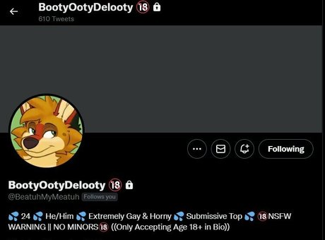 thepineapplefox 限定モデル 写真