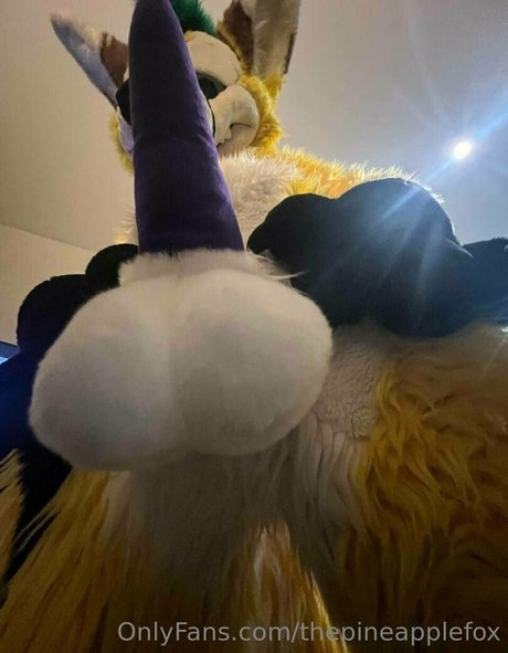 thepineapplefox ホットなポルノスター 写真