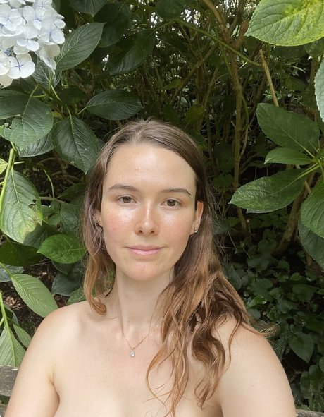 Koneko Shinji ホットスター ギャラリー