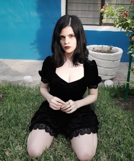 Becka666 HDモデル 写真