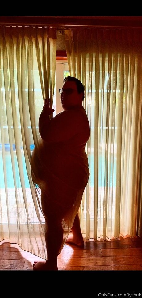 tychub アートスター 写真