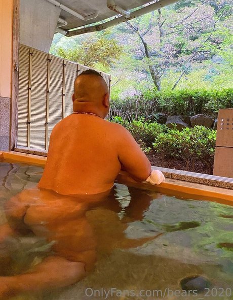 bears 2020 ヌードスター ギャラリー