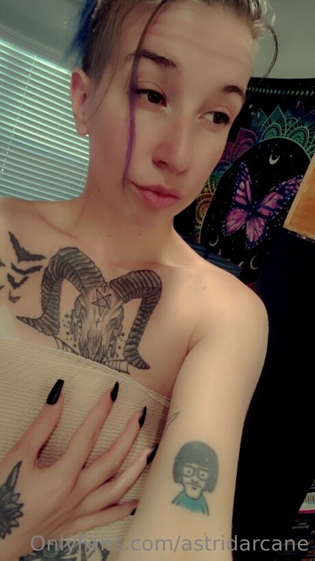 Astridarcane スター 画像
