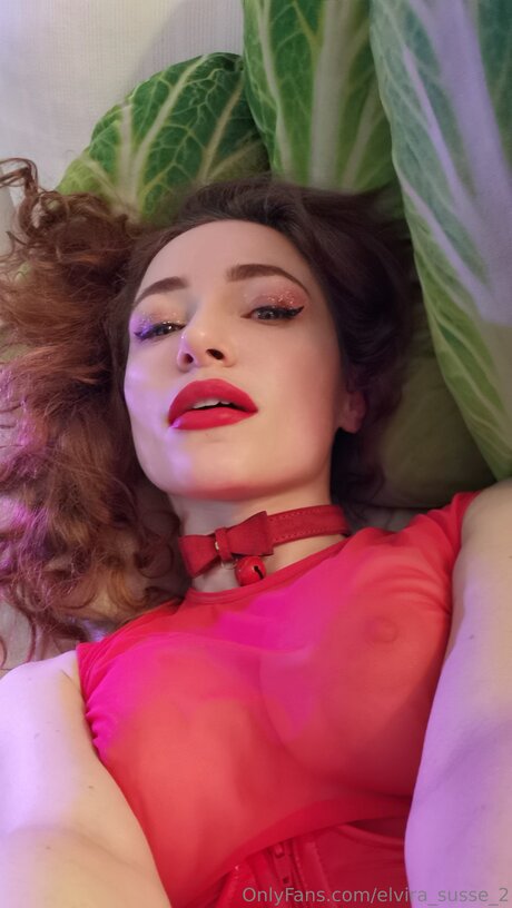 Elvira Susse 2 最高のモデル 写真