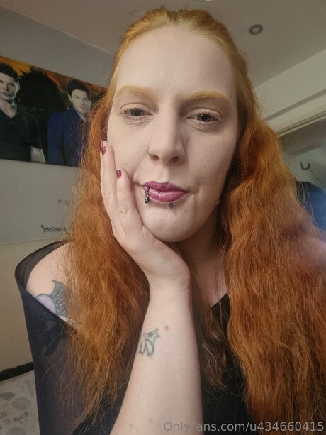 U434660415 HDスター アーカイブ