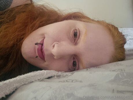 U434660415 高品質のスター 写真