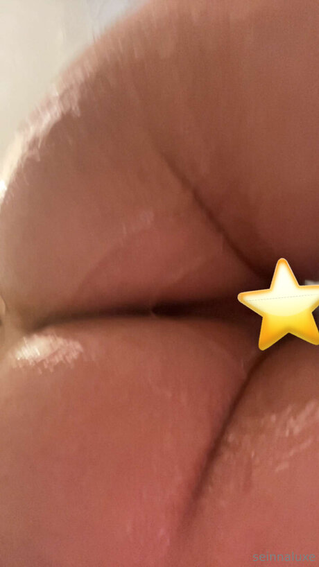 Seinnaluxe アダルトスター 写真